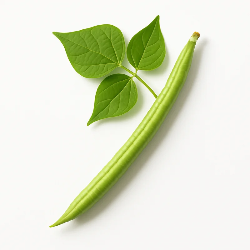 Cowpea — image 1 of 1
