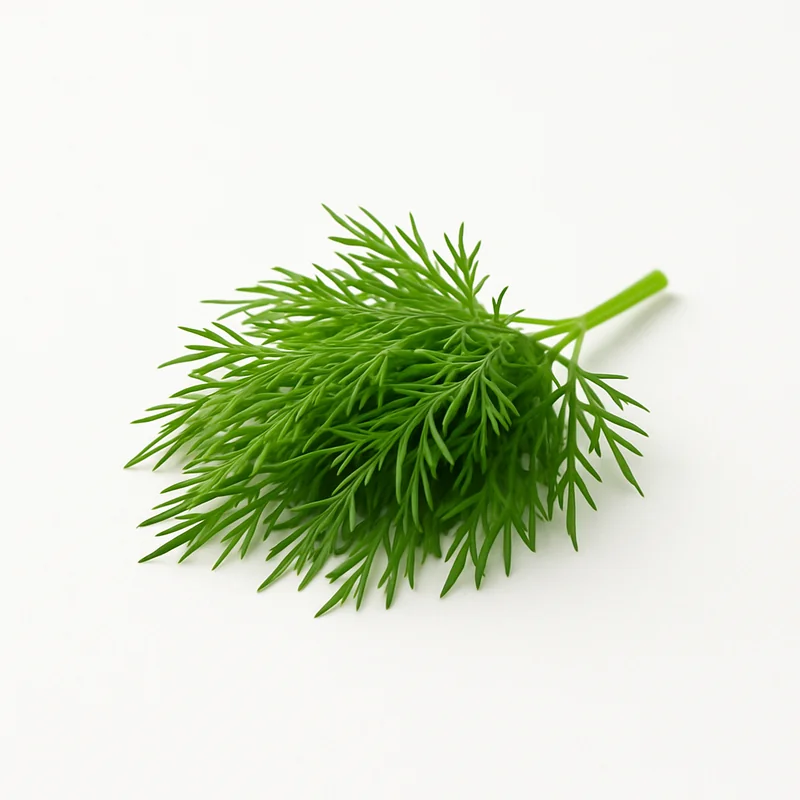 Dill Seed — image 1 of 3