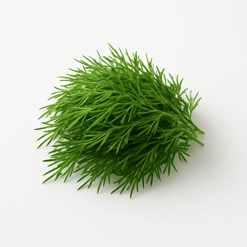 Dill Weed — image 1 of 1