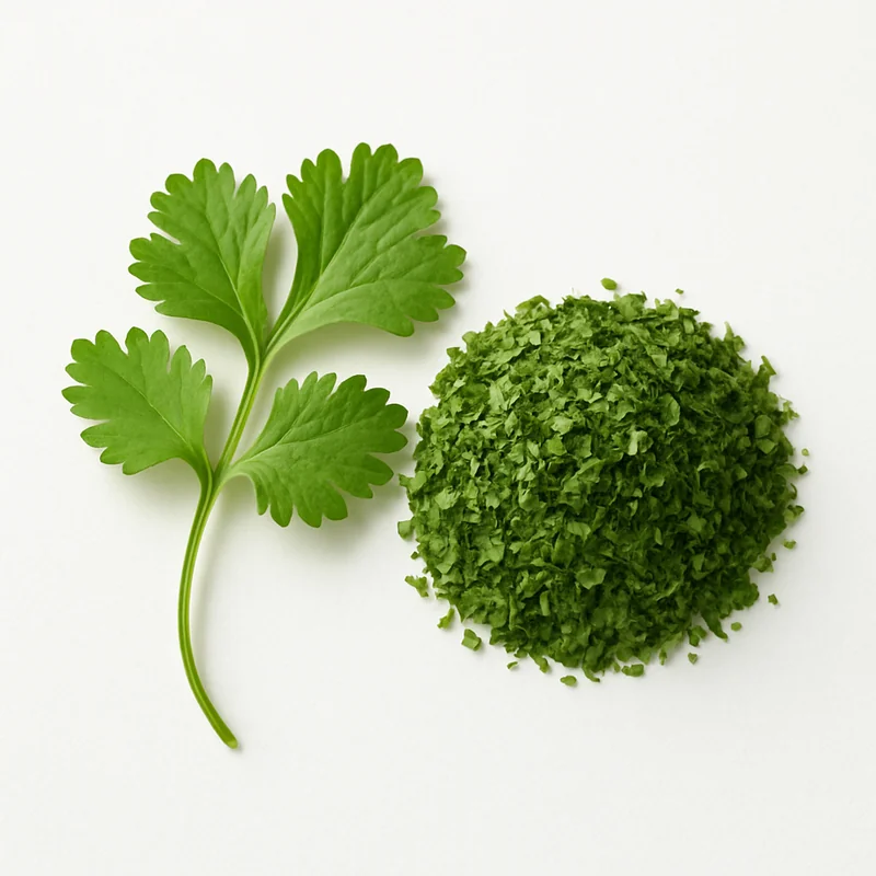 Cilantro (Dried) — image 1 of 3