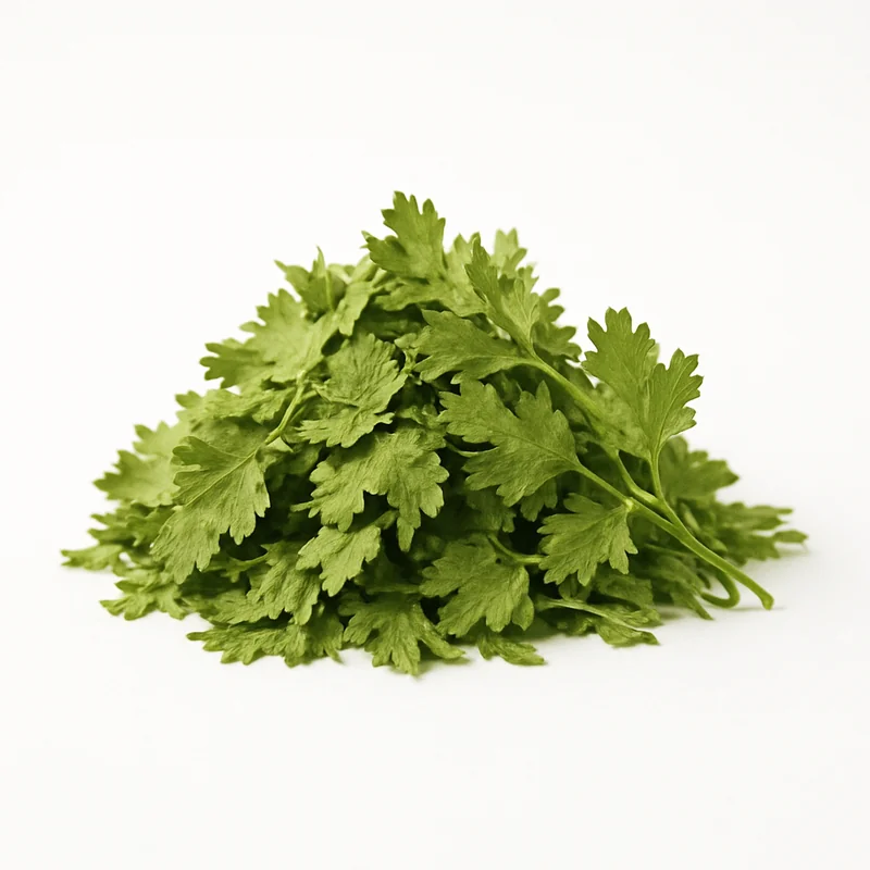 Cilantro (Dried) — image 2 of 3