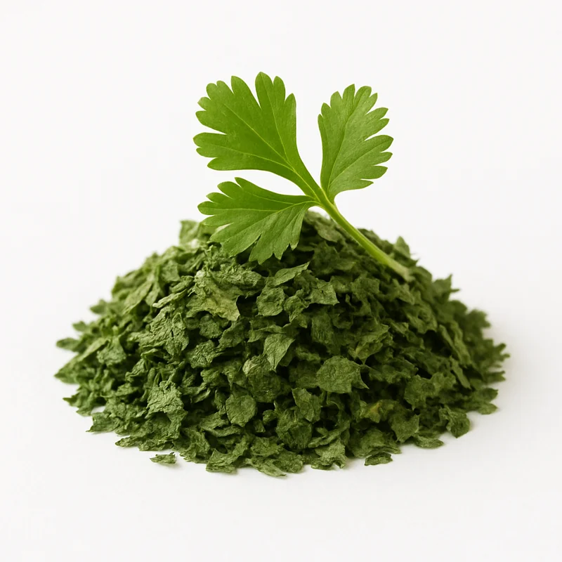 Cilantro (Dried) — image 3 of 3