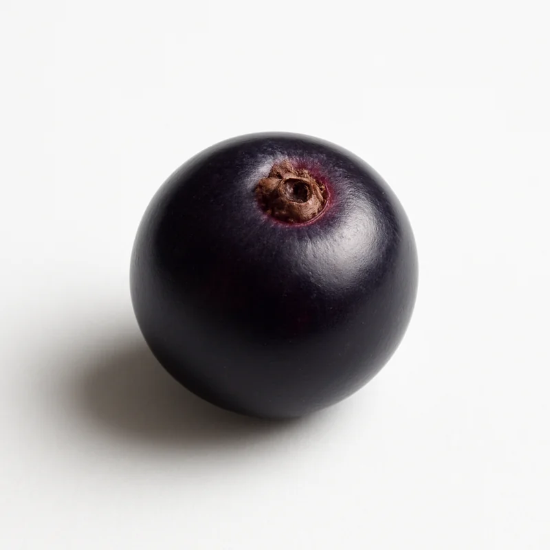 Elderberries