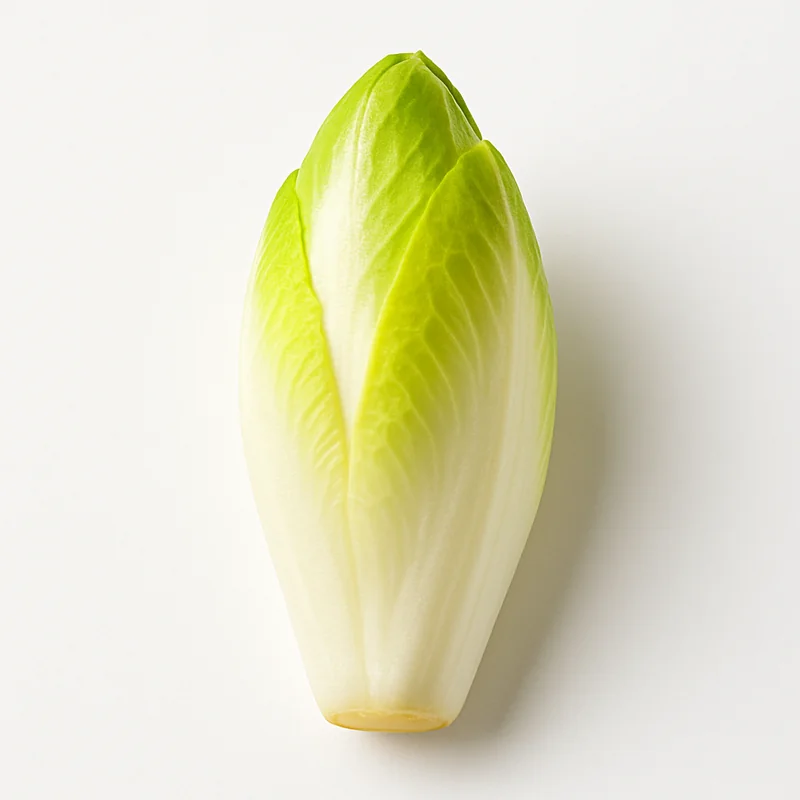 Endive