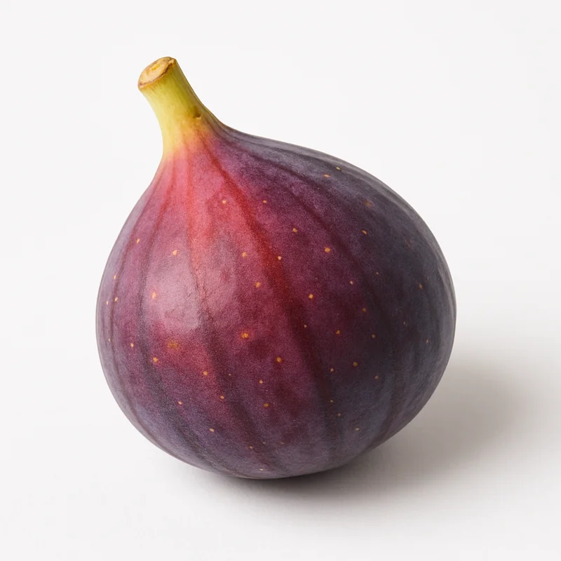 Fig — image 1 of 1