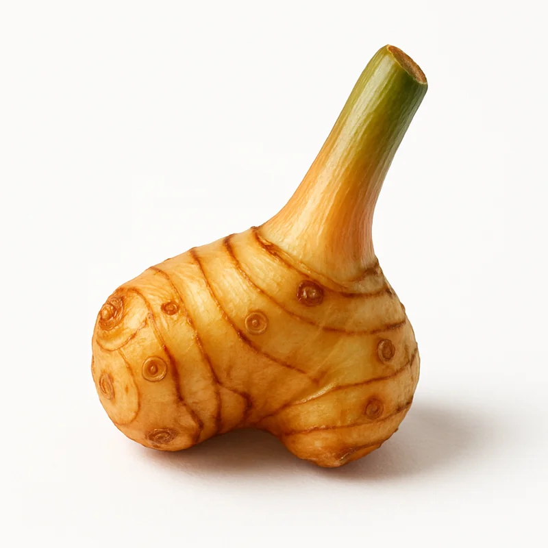 Galangal — image 3 of 3
