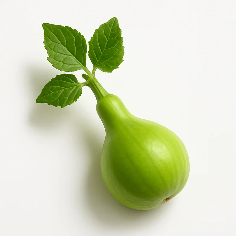 Gourd — image 1 of 1