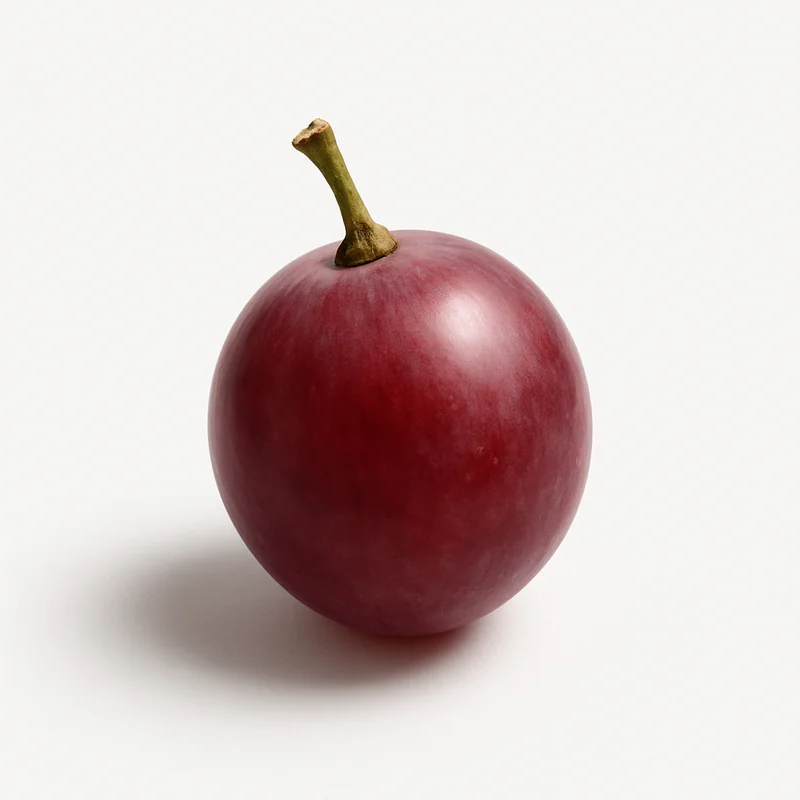 Grape — image 1 of 1