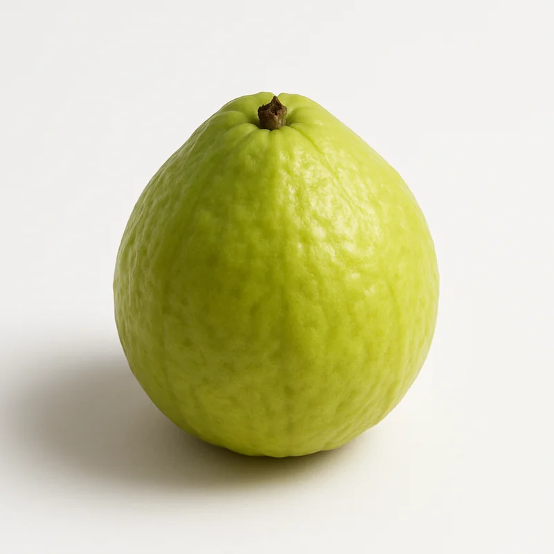 Guava — image 1 of 1