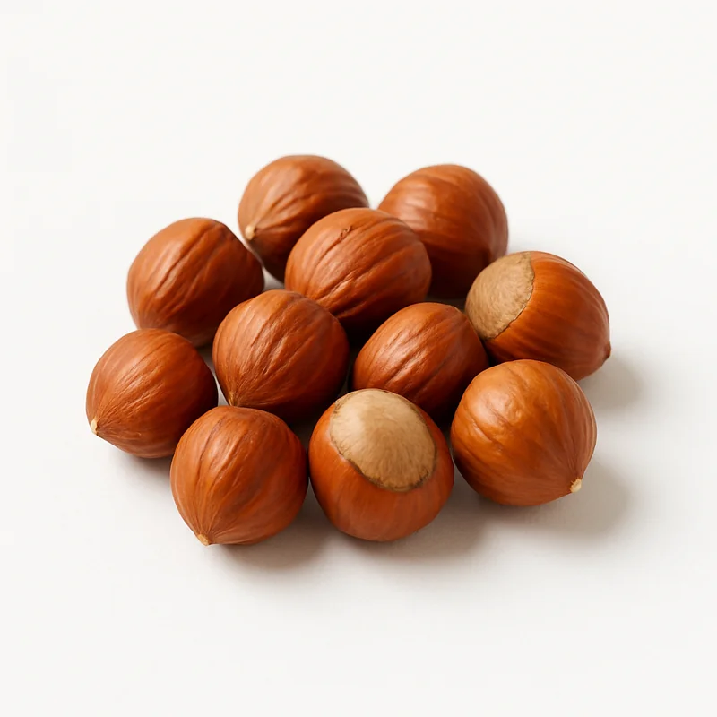 Hazelnut — image 1 of 1