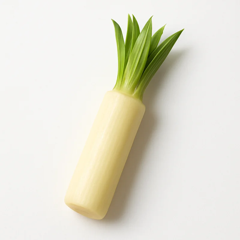 Hearts Of Palm — image 1 of 1