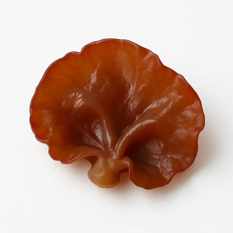 Jew'S Ear — image 1 of 1