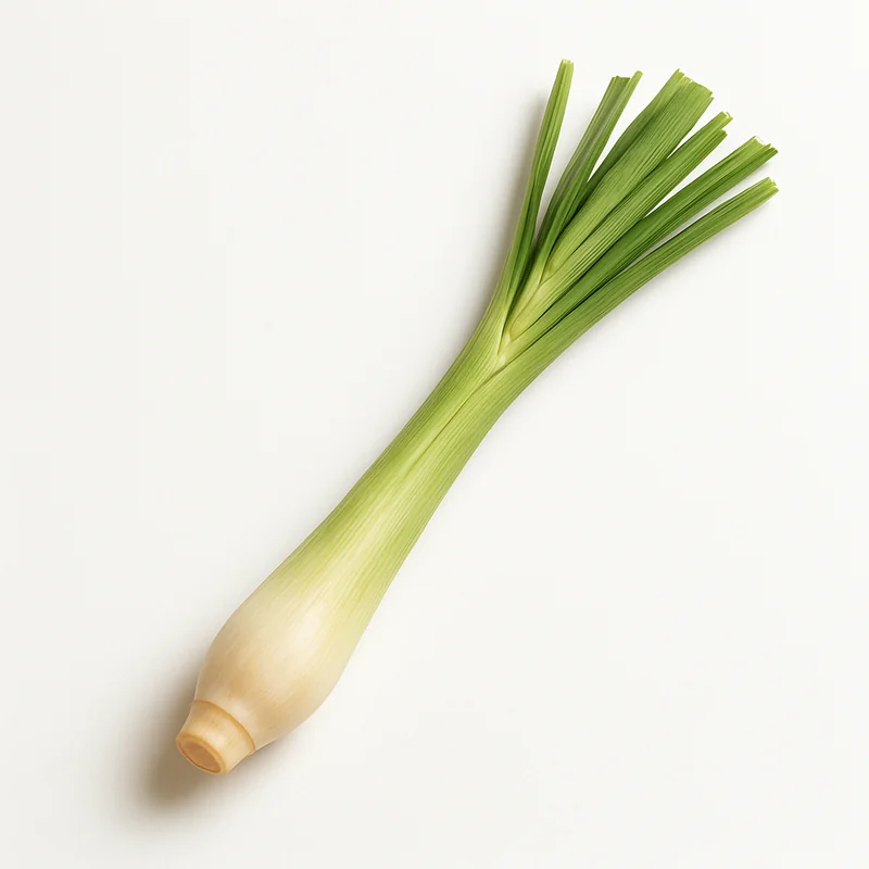 Lemon Grass (Citronella) — image 1 of 1