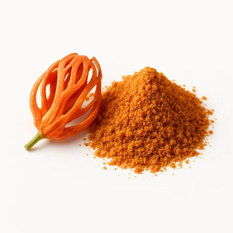 Mace (Ground) — image 1 of 3