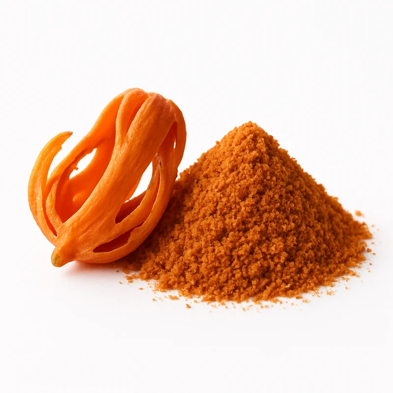 Mace (Ground) — image 3 of 3