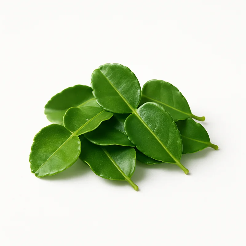 Makrut Lime Leaf — image 2 of 3