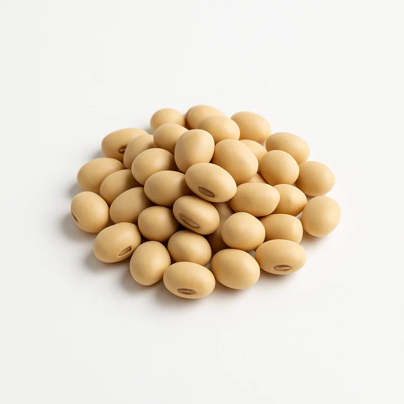 Miso — image 1 of 1