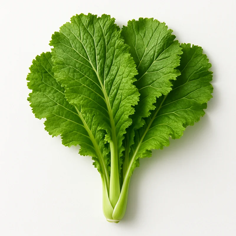 Mustard Green — image 1 of 1