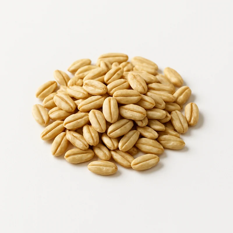 Oat — image 1 of 1