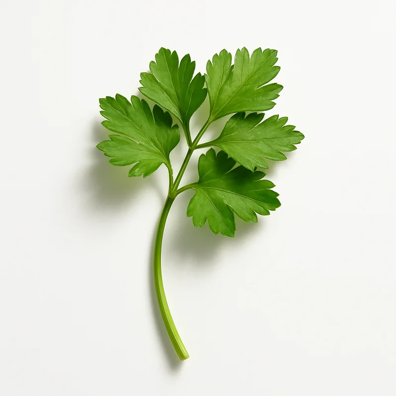 Parsley — image 1 of 1
