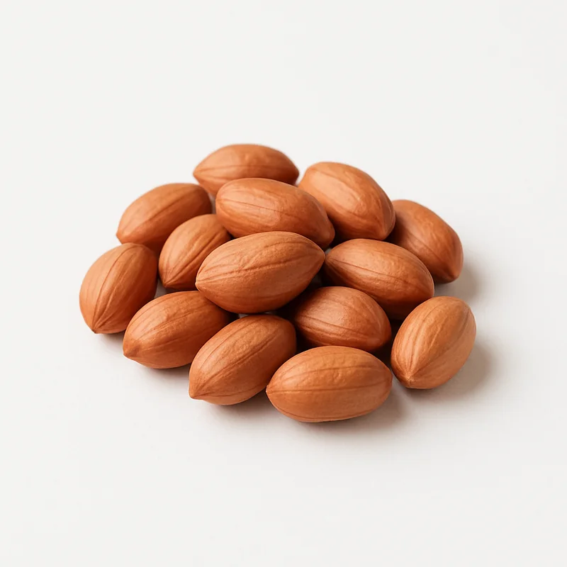 Peanut — image 1 of 1