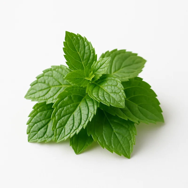 Peppermint