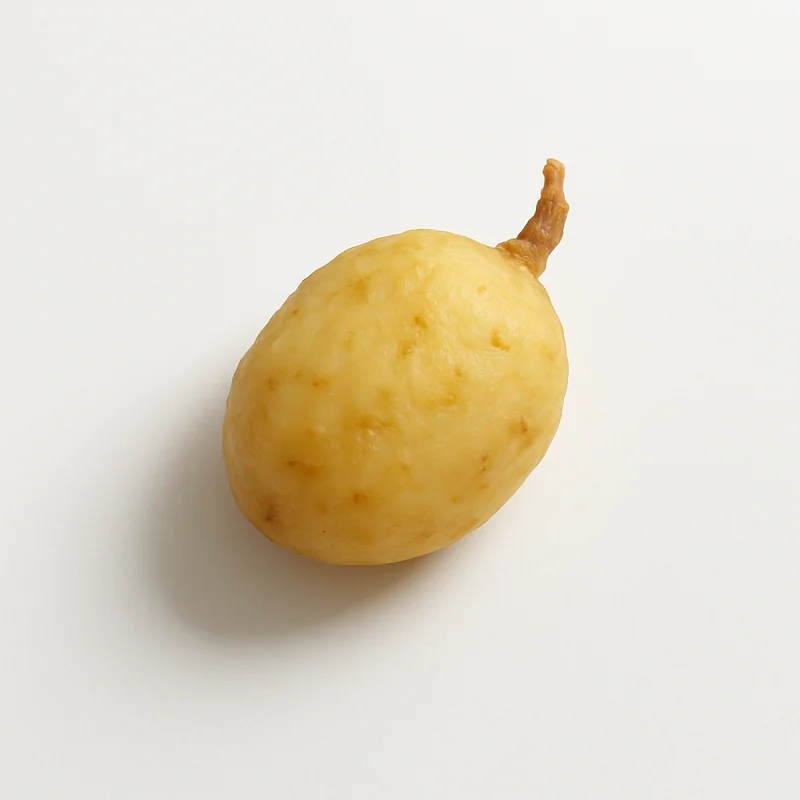Prairie Turnip — image 1 of 1