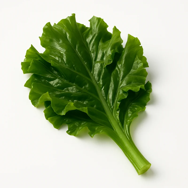 Seaweed — image 1 of 1