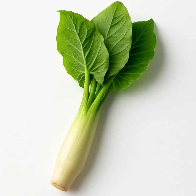 Taro Shoot — image 1 of 1