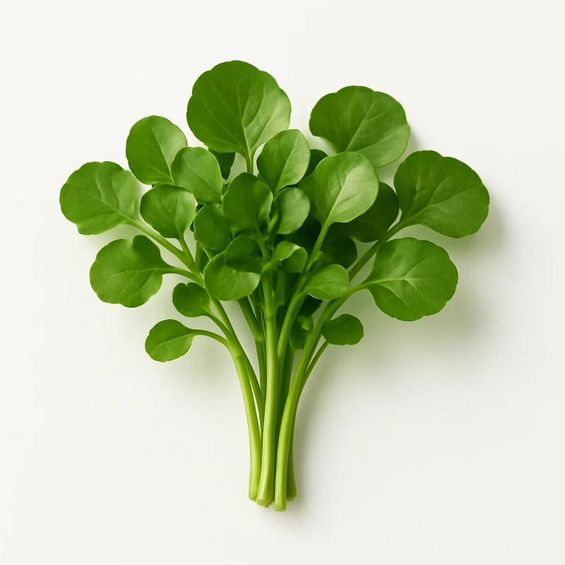 Watercress — image 1 of 1