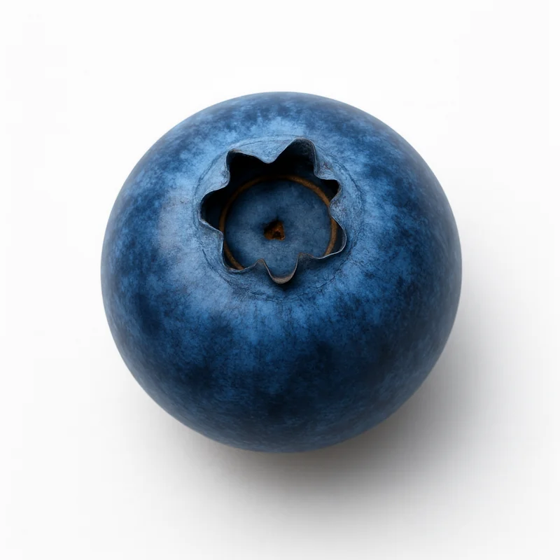 Wild Blueberries — image 1 of 3