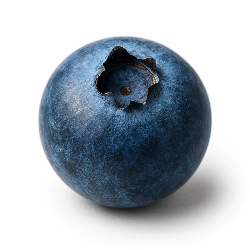 Wild Blueberries — image 3 of 3