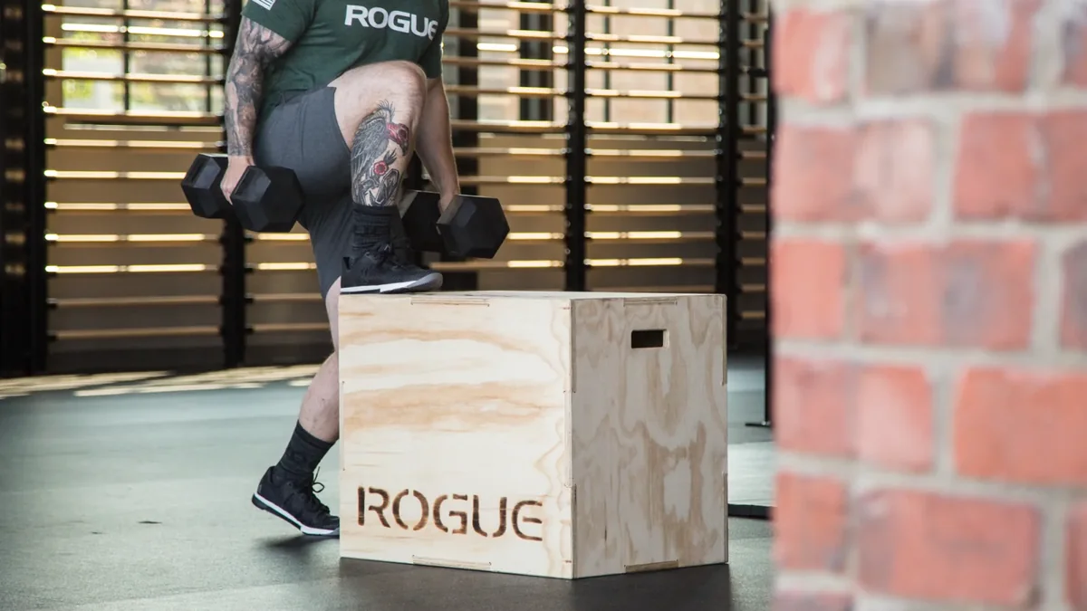 Rogue Games Box (Plyo Box)