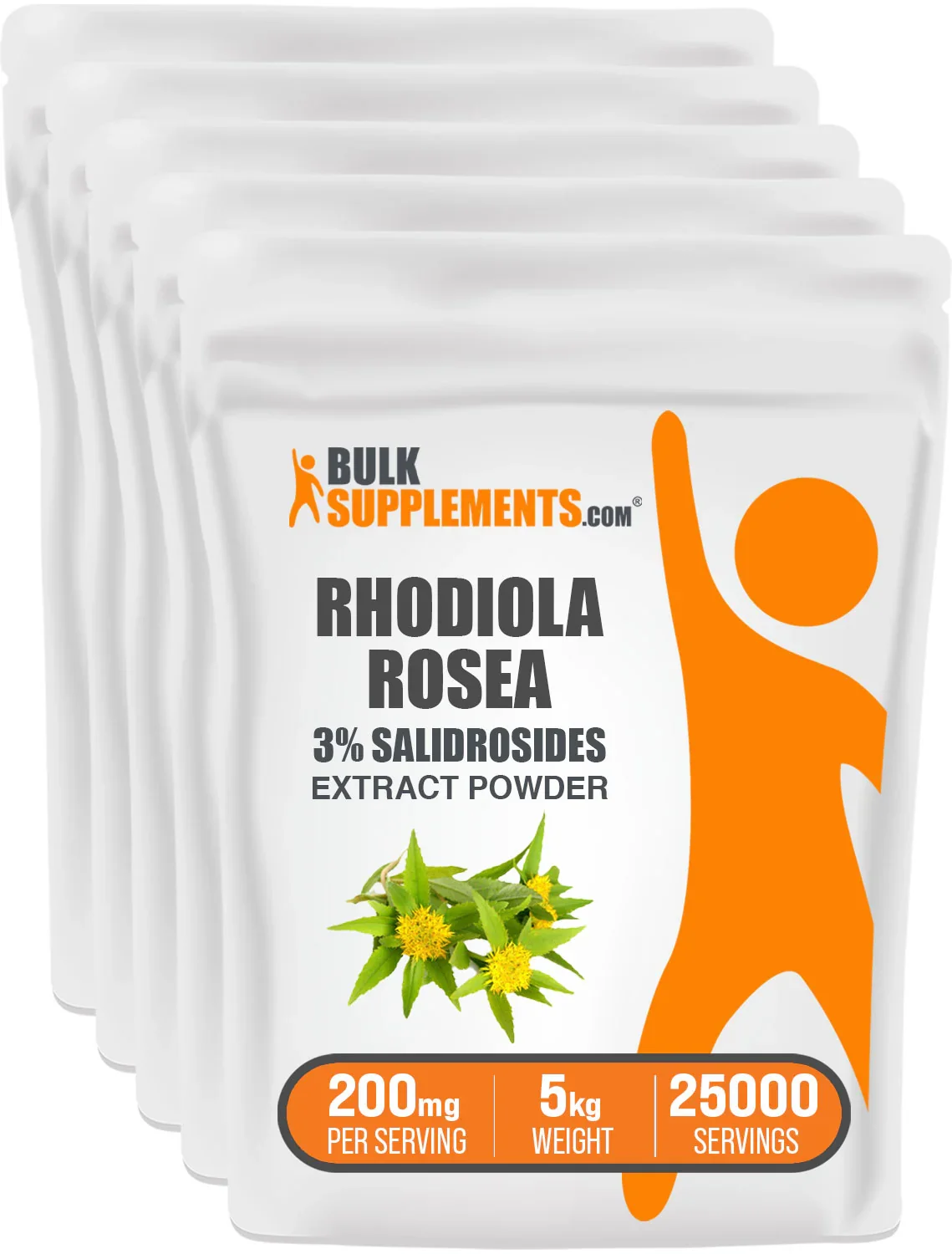 Rhodiola Extract (3% Salidroside) Powder — image 2 of 7