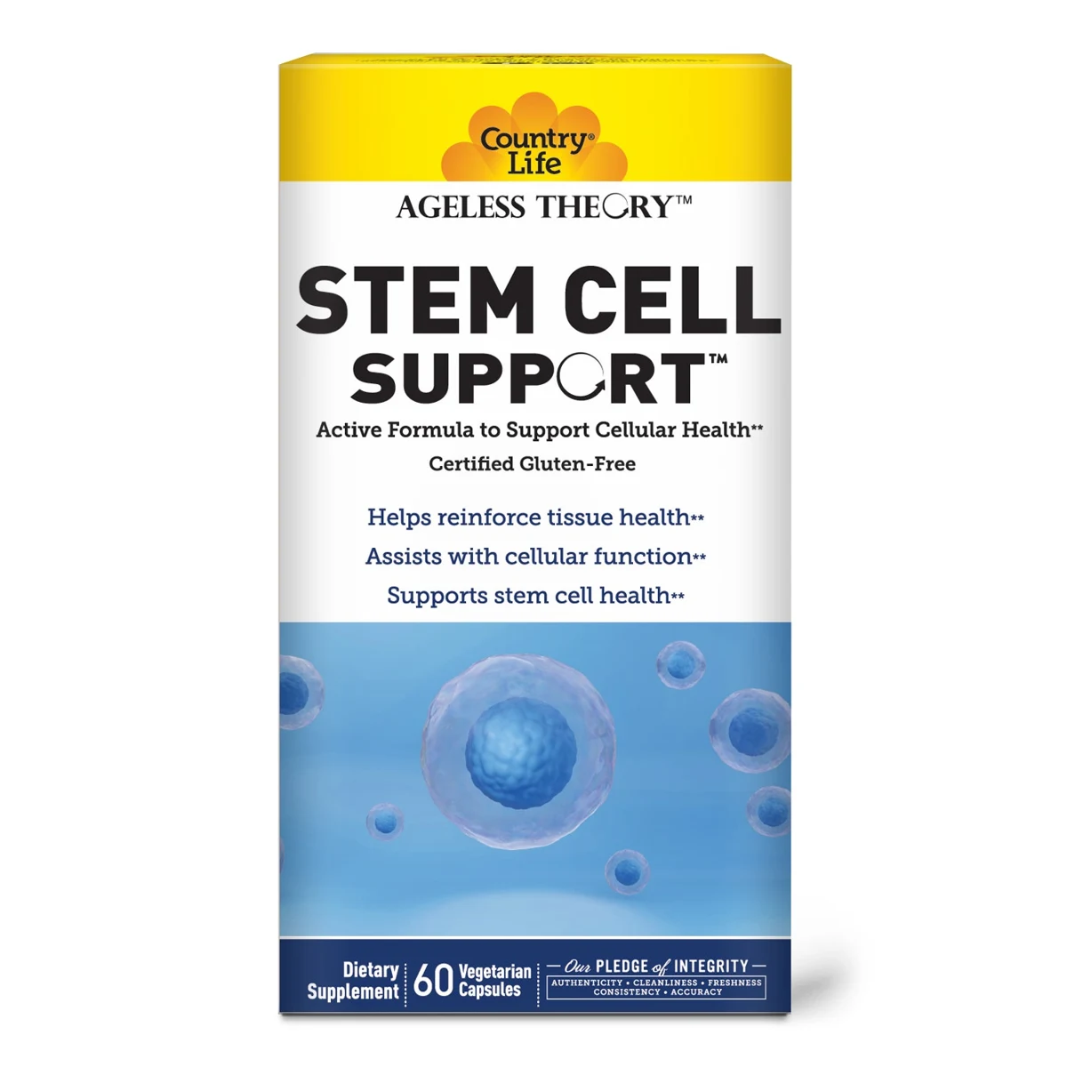 Ageless Theory Stem Cell Support