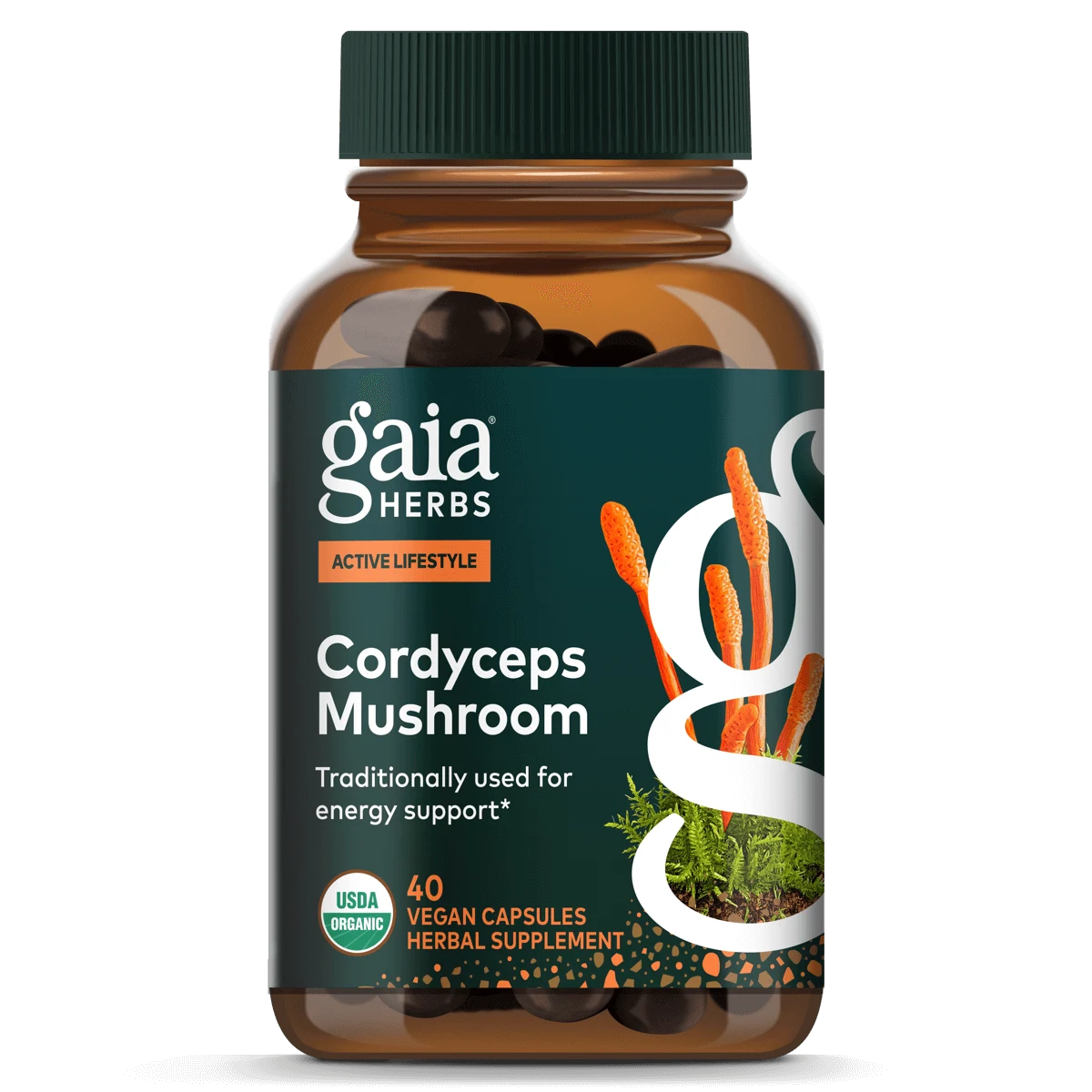 Cordyceps Mushroom