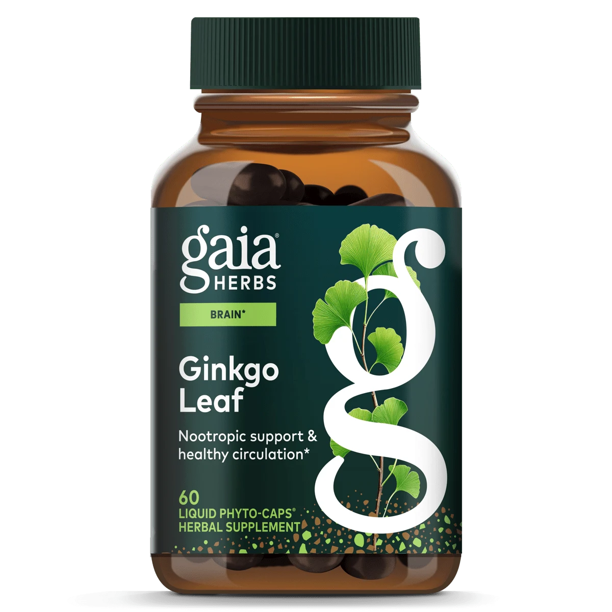 Ginkgo Leaf