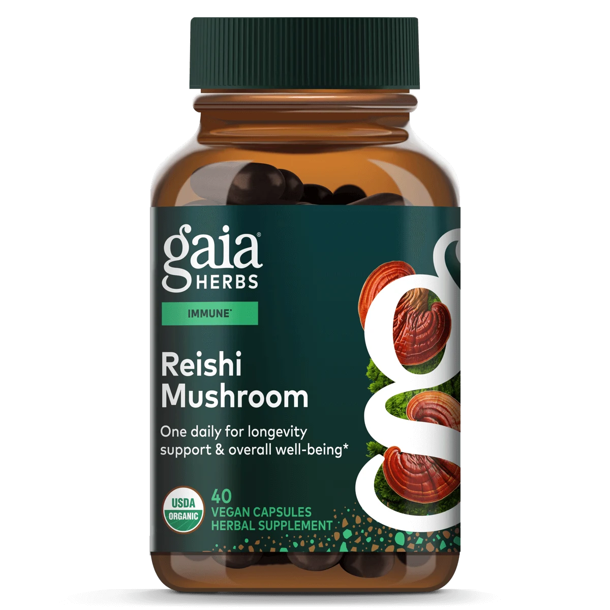Reishi Mushroom