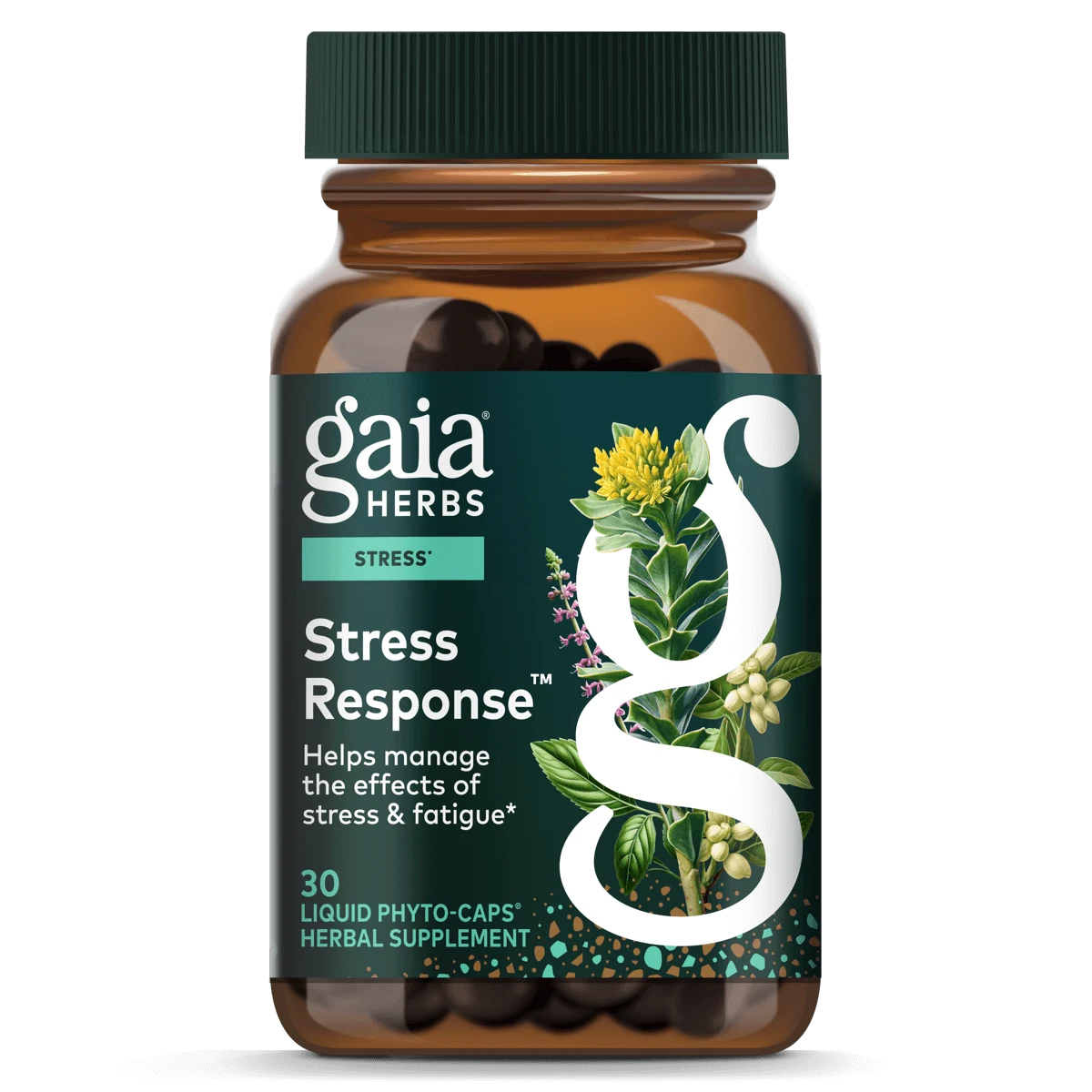 Stress Response