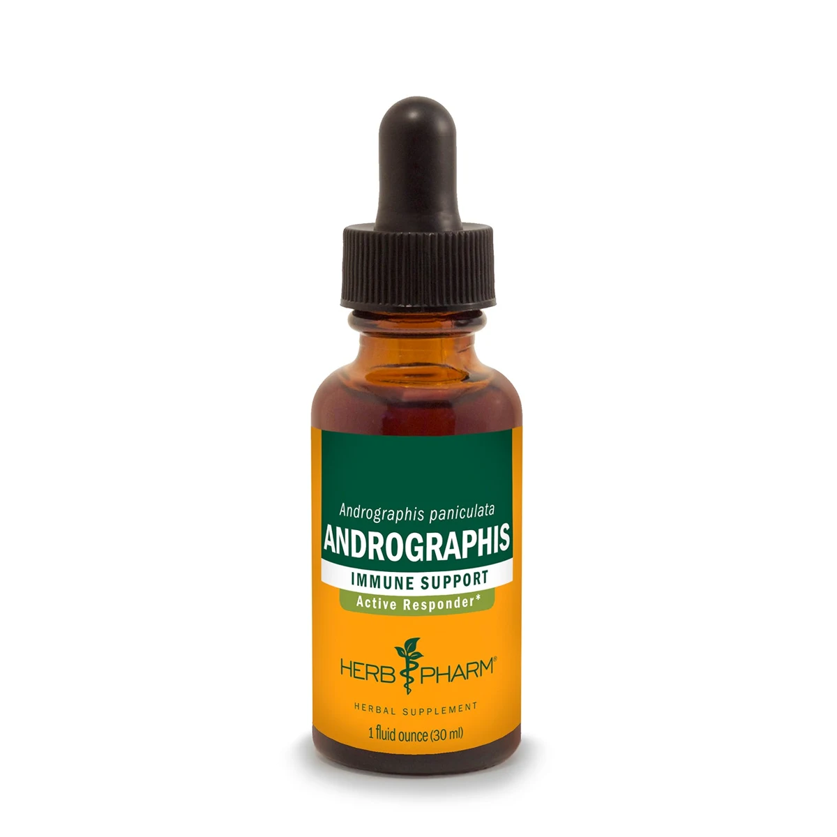 Andrographis