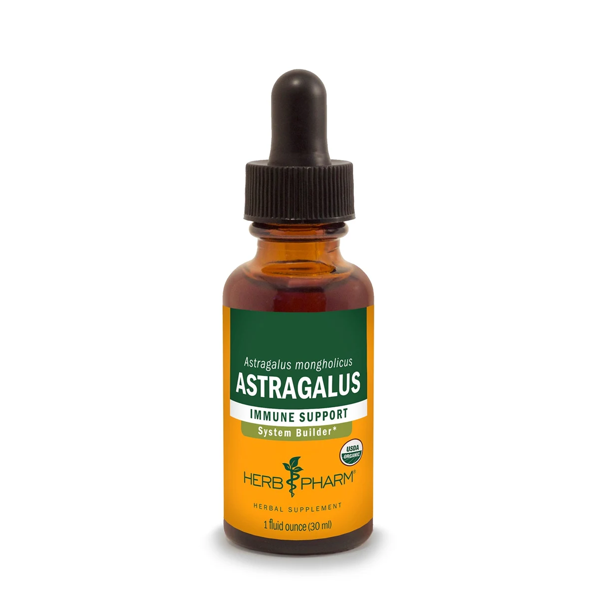 Astragalus