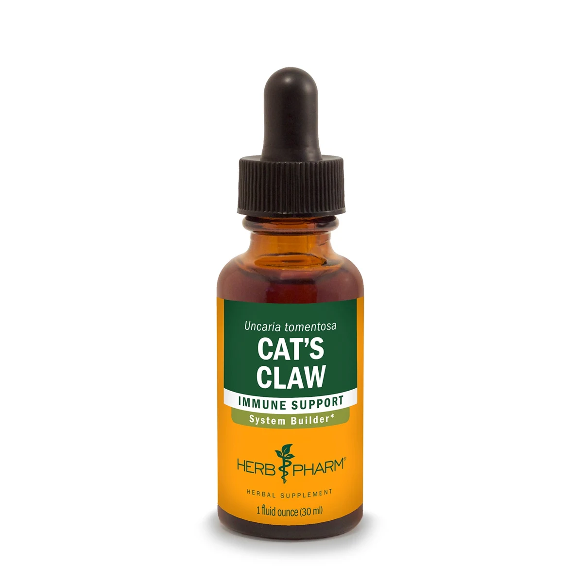 Cat's Claw