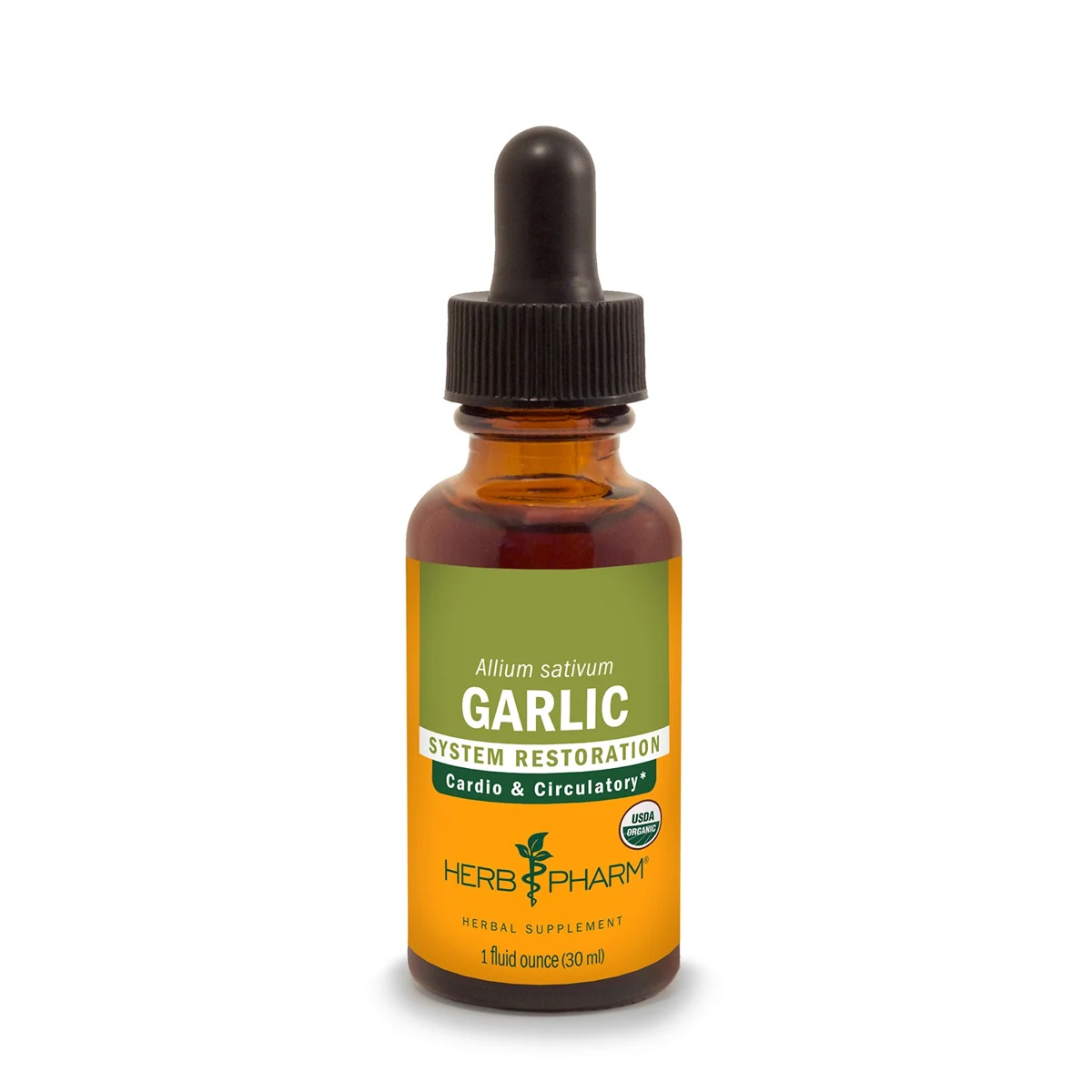Garlic
