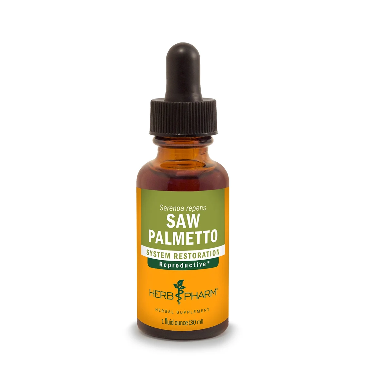 Saw Palmetto