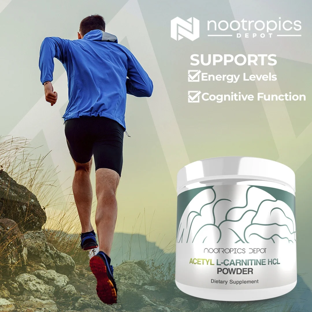 Acetyl L-Carnitine ALCAR Powder — image 6 of 6