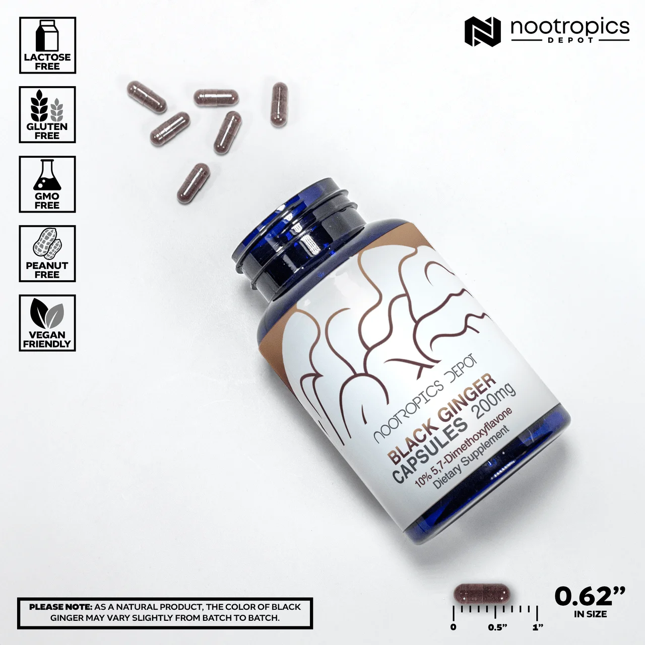 Black Ginger Extract Capsules — image 2 of 6