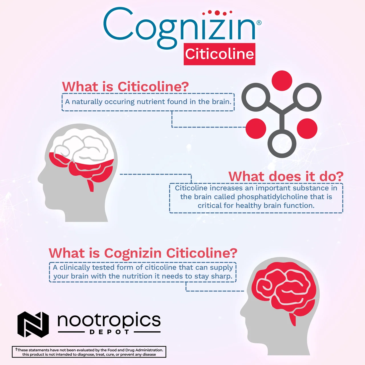 Cognizin Citicoline Capsules — image 2 of 6