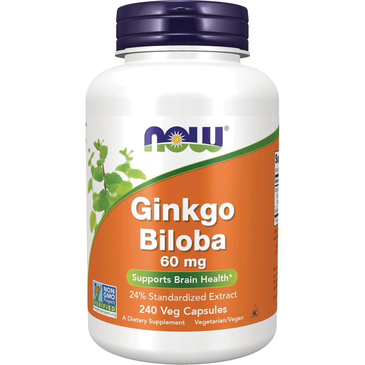 Ginkgo Biloba