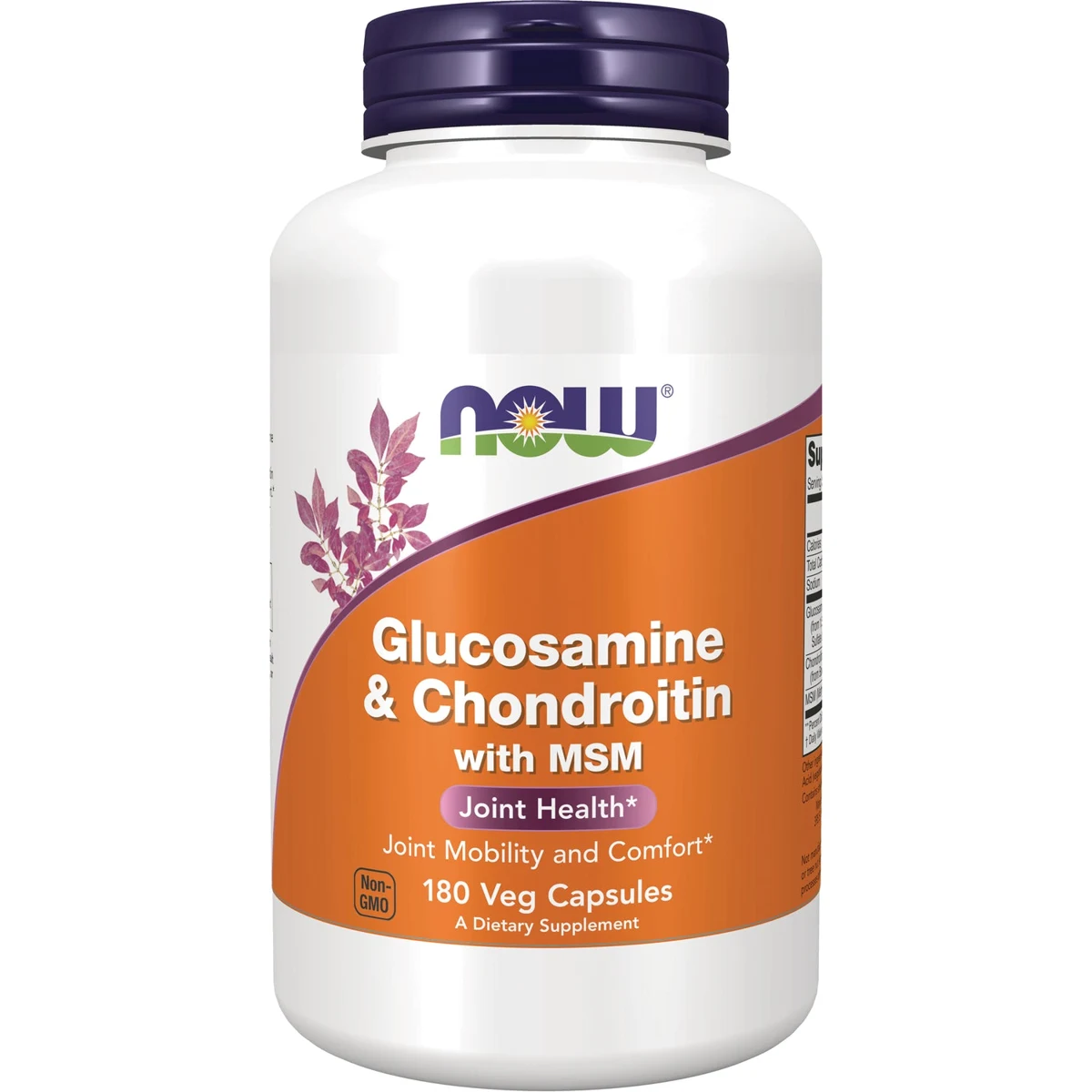 Glucosamine & Chondroitin with MSM