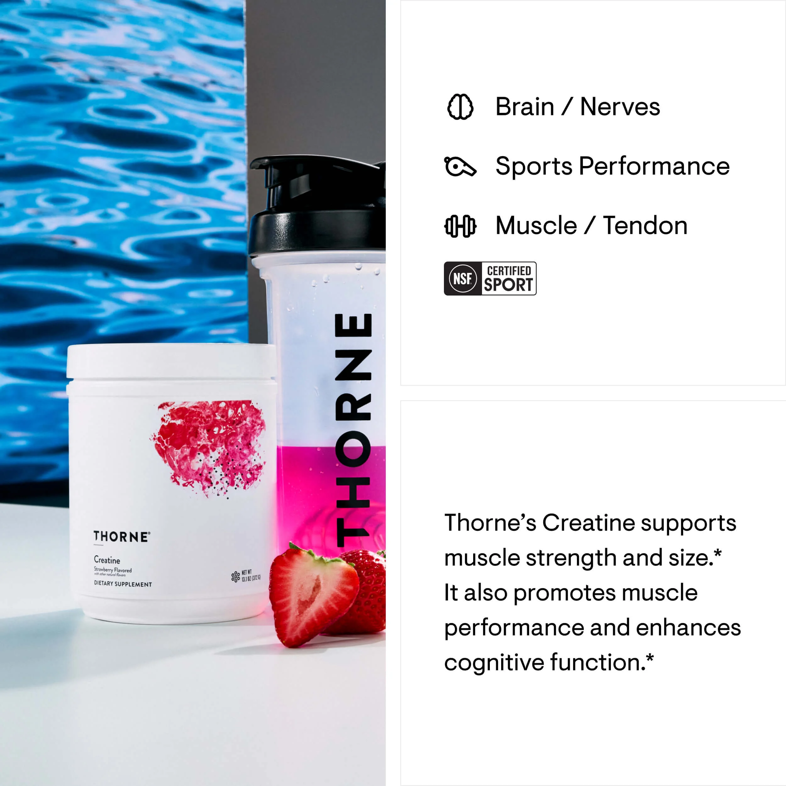 Creatine - Strawberry — image 6 of 6